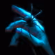 Neon Web #1