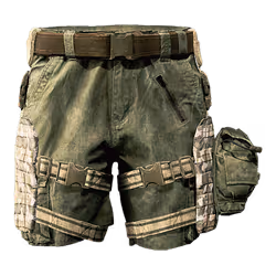 Urban Explorer Shorts