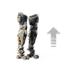 29991981