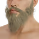 Crusader Beard - Blond