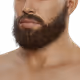 Full Beard - Brown