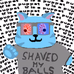 Hyperpuppets #211