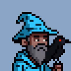 The Wizards #464