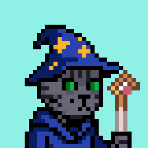 The Wizards #714