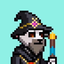 The Wizards #2079