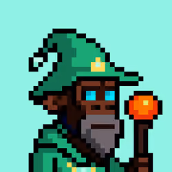 The Wizards #2117