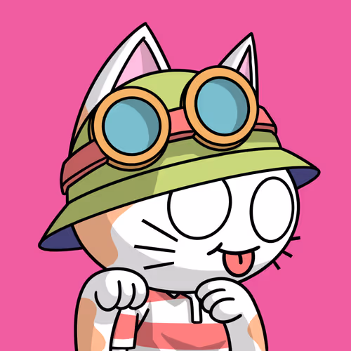 Hyper Neko991