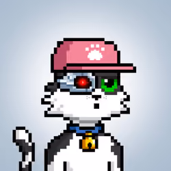Coping Cat #2472