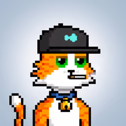 Coping Cat #376