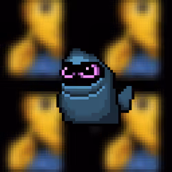 504