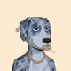 Hound