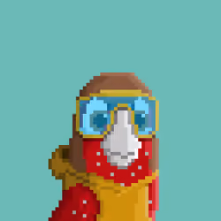 Hyparrot #2732