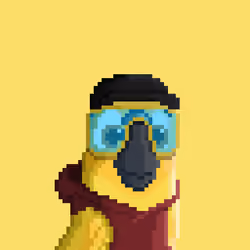 Hyparrot #1159