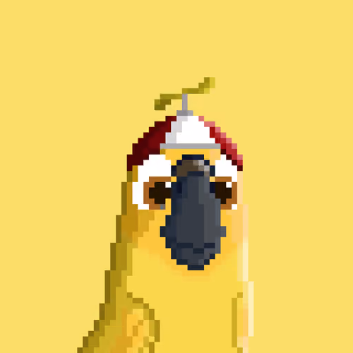 Hyparrot #1242
