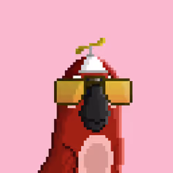 Hyparrot #1556