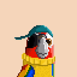 Hyparrot #1050