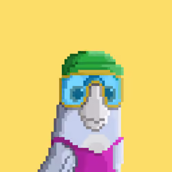 Hyparrot #1264