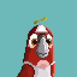 Hyparrot #420