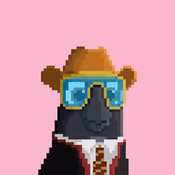 Hyparrot #1662