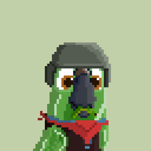 Hyparrot #203