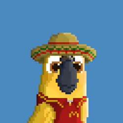 Hyparrot #3147