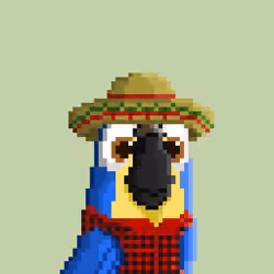 Hyparrot #404