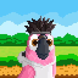 Hyparrot #3104