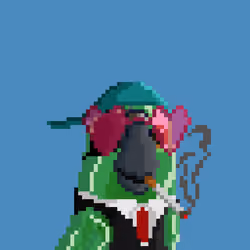 Hyparrot #3272