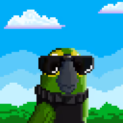 Hyparrot #3486