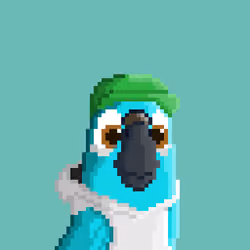 Hyparrot #529
