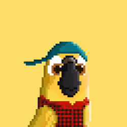 Hyparrot #1246