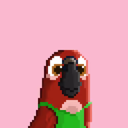 Hyparrot #2727