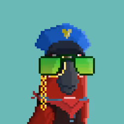 Hyparrot #1578