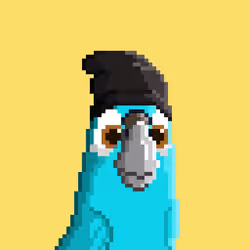 Hyparrot #2305