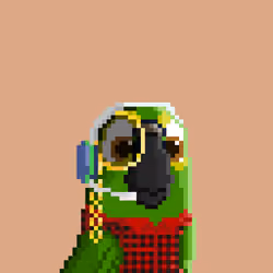 Hyparrot #2575
