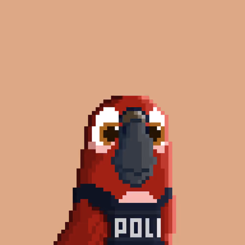 Hyparrot #2867