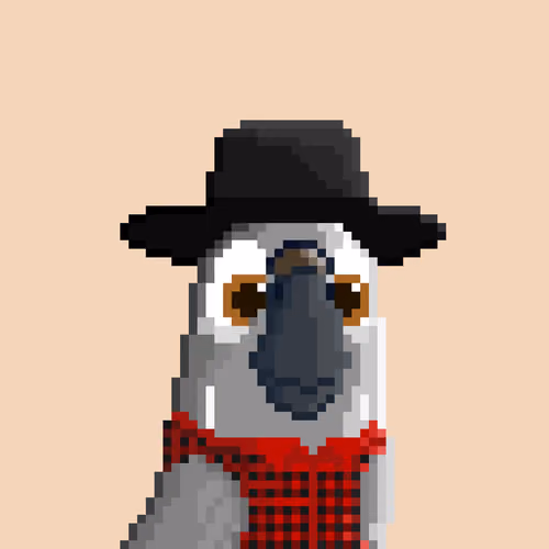Hyparrot #1616