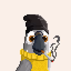Hyparrot #1791
