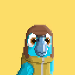 Hyparrot #3525