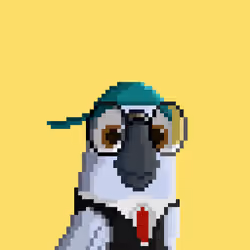 Hyparrot #2102