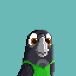 Hyparrot #4348