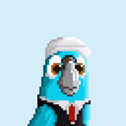 Hyparrot #244