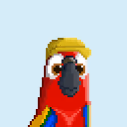 Hyparrot #3743