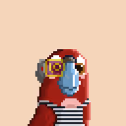 Hyparrot #1661
