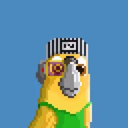 Hyparrot #2766