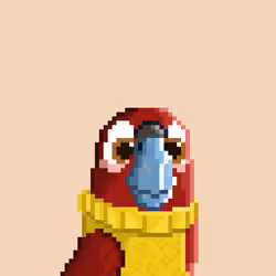 Hyparrot #1063