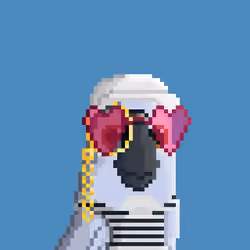 Hyparrot #2378