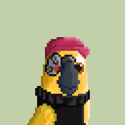 Hyparrot #672