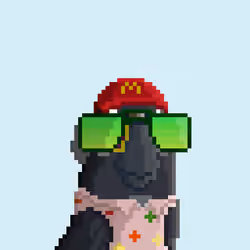 Hyparrot #2066