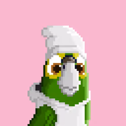 Hyparrot #599